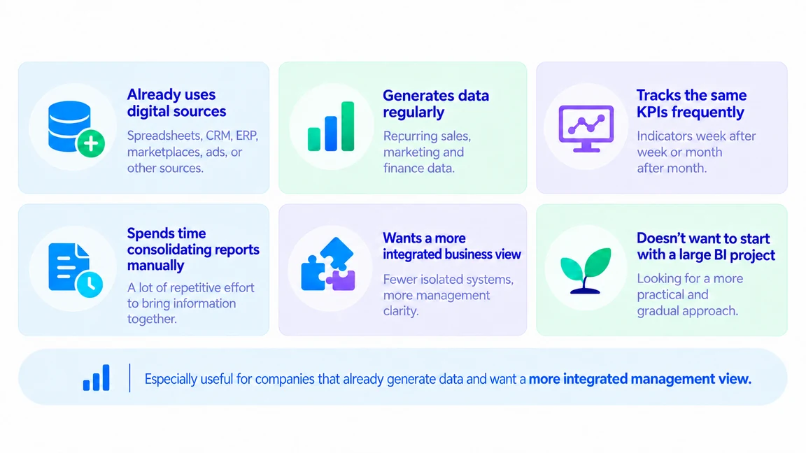 Who BIPLANE24 is for — companies already using digital systems and generating sales, marketing and financial data
